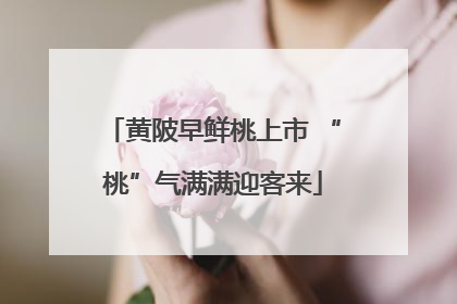 黄陂早鲜桃上市 “桃”气满满迎客来