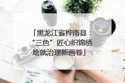 黑龙江省桦南县：“三色”匠心织锦绣 绘就治理新画卷