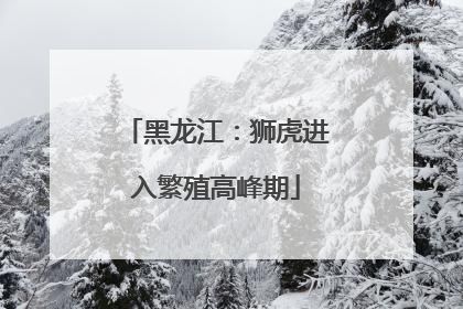 黑龙江：狮虎进入繁殖高峰期