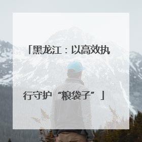 黑龙江：以高效执行守护“粮袋子”