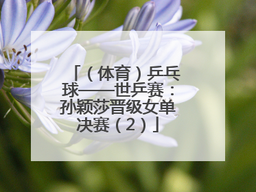 （体育）乒乓球——世乒赛：孙颖莎晋级女单决赛（2）