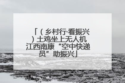 （乡村行·看振兴）土鸡坐上无人机 江西南康“空中快递员”助振兴