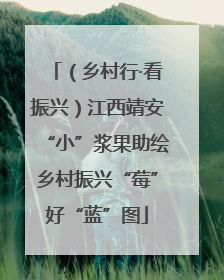 （乡村行·看振兴）江西靖安“小”浆果助绘乡村振兴“莓”好“蓝”图
