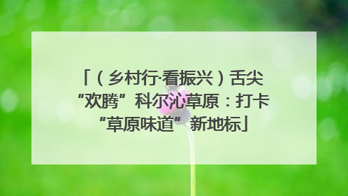 （乡村行·看振兴）舌尖“欢腾”科尔沁草原：打卡“草原味道”新地标