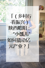 （乡村行·看振兴）陕西略阳：“小瓢儿”如何撬动亿元产业？