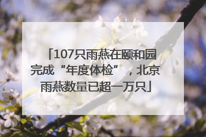 107只雨燕在颐和园完成“年度体检”，北京雨燕数量已超一万只