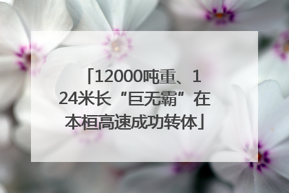 12000吨重、124米长“巨无霸”在本桓高速成功转体