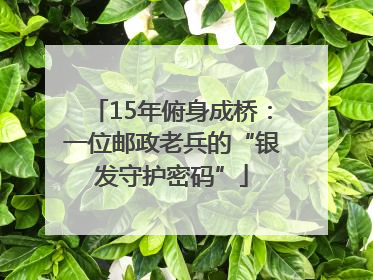 15年俯身成桥：一位邮政老兵的“银发守护密码”