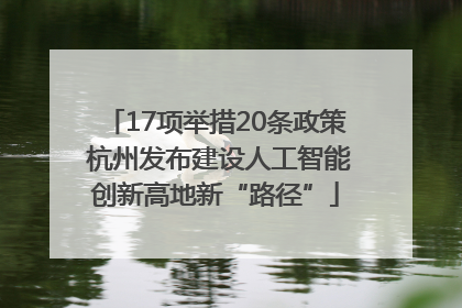 17项举措20条政策 杭州发布建设人工智能创新高地新“路径”