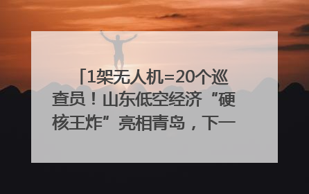 1架无人机=20个巡查员！山东低空经济“硬核王炸”亮相青岛，下一个万亿赛道藏在这里
