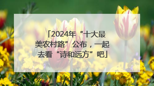 2024年“十大最美农村路”公布，一起去看“诗和远方”吧