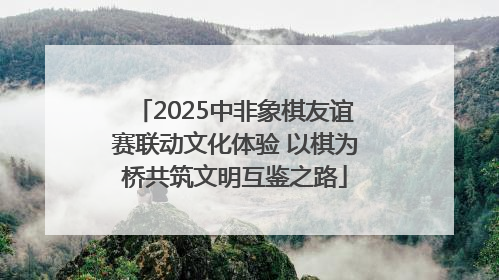 2025中非象棋友谊赛联动文化体验 以棋为桥共筑文明互鉴之路
