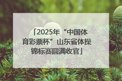 2025年“中国体育彩票杯”山东省体操锦标赛圆满收官