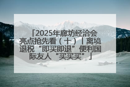 2025年廊坊经洽会亮点抢先看（十）丨离境退税“即买即退”便利国际友人“买买买”