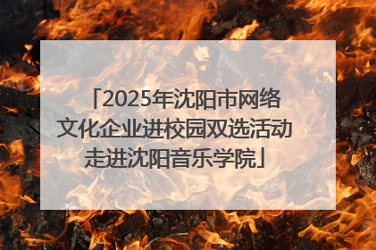 2025年沈阳市网络文化企业进校园双选活动走进沈阳音乐学院
