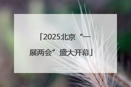 2025北京“一展两会”盛大开幕