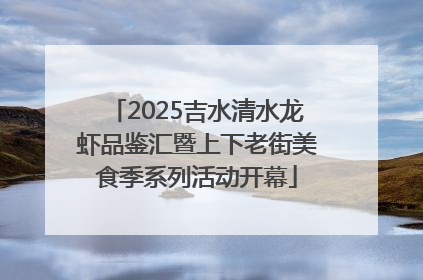 2025吉水清水龙虾品鉴汇暨上下老街美食季系列活动开幕