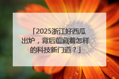 2025浙江好西瓜出炉，背后蕴藏着怎样的科技新门道？