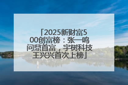 2025新财富500创富榜：张一鸣问鼎首富，宇树科技王兴兴首次上榜