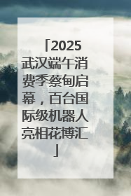2025武汉端午消费季蔡甸启幕，百台国际级机器人亮相花博汇