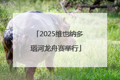 2025维也纳多瑙河龙舟赛举行