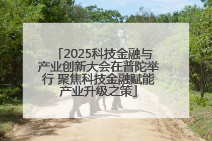 2025科技金融与产业创新大会在普陀举行 聚焦科技金融赋能产业升级之策