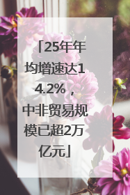 25年年均增速达14.2%，中非贸易规模已超2万亿元