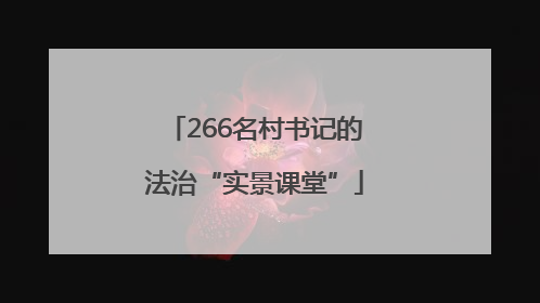 266名村书记的法治“实景课堂”