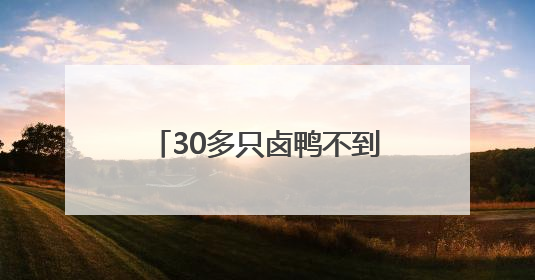 30多只卤鸭不到半小时就抢空，当酒店外摆摆到产业园，上班族很“买账”