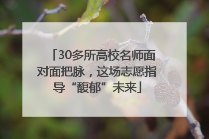 30多所高校名师面对面把脉，这场志愿指导“馥郁”未来