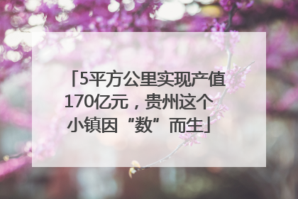 5平方公里实现产值170亿元，贵州这个小镇因“数”而生