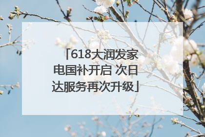 618大润发家电国补开启 次日达服务再次升级