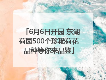 6月6日开园 东湖荷园500个珍稀荷花品种等你来品鉴