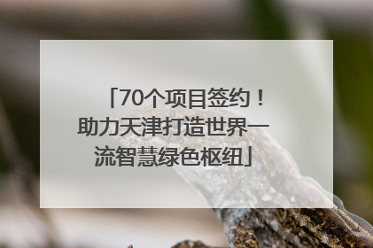 70个项目签约！助力天津打造世界一流智慧绿色枢纽