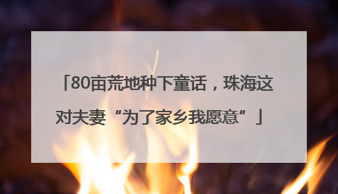 80亩荒地种下童话，珠海这对夫妻“为了家乡我愿意”