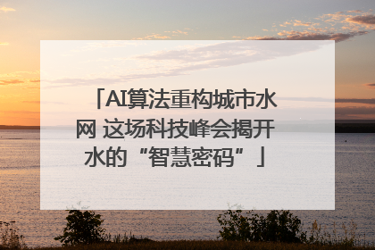 AI算法重构城市水网 这场科技峰会揭开水的“智慧密码”