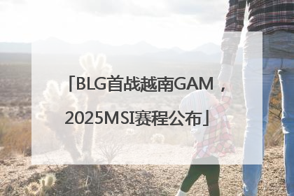 BLG首战越南GAM，2025MSI赛程公布