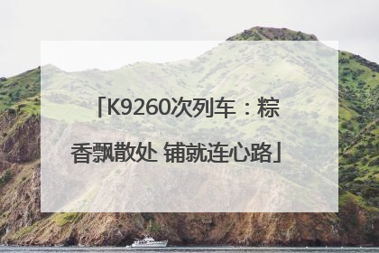 K9260次列车：粽香飘散处 铺就连心路