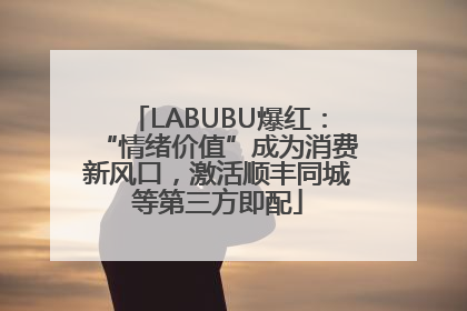 LABUBU爆红：“情绪价值”成为消费新风口，激活顺丰同城等第三方即配