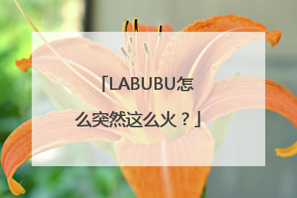 LABUBU怎么突然这么火？
