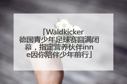 Waldkicker德国青少年足球赛圆满闭幕，指定营养伙伴inne因你陪伴少年前行