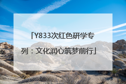 Y833次红色研学专列：文化润心筑梦前行